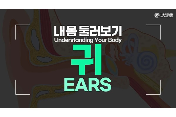 [Understanding Your Body] Ears