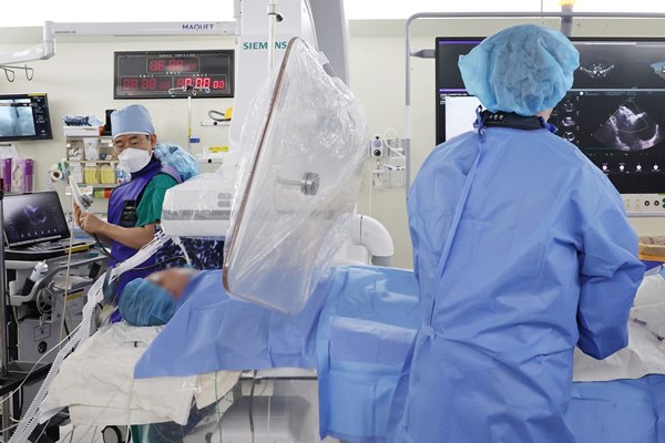 3D Echocardiography Enables Accurate Diagnosis of Atrial Septal Defect, Achieving a 99.7% Procedure Success Rate